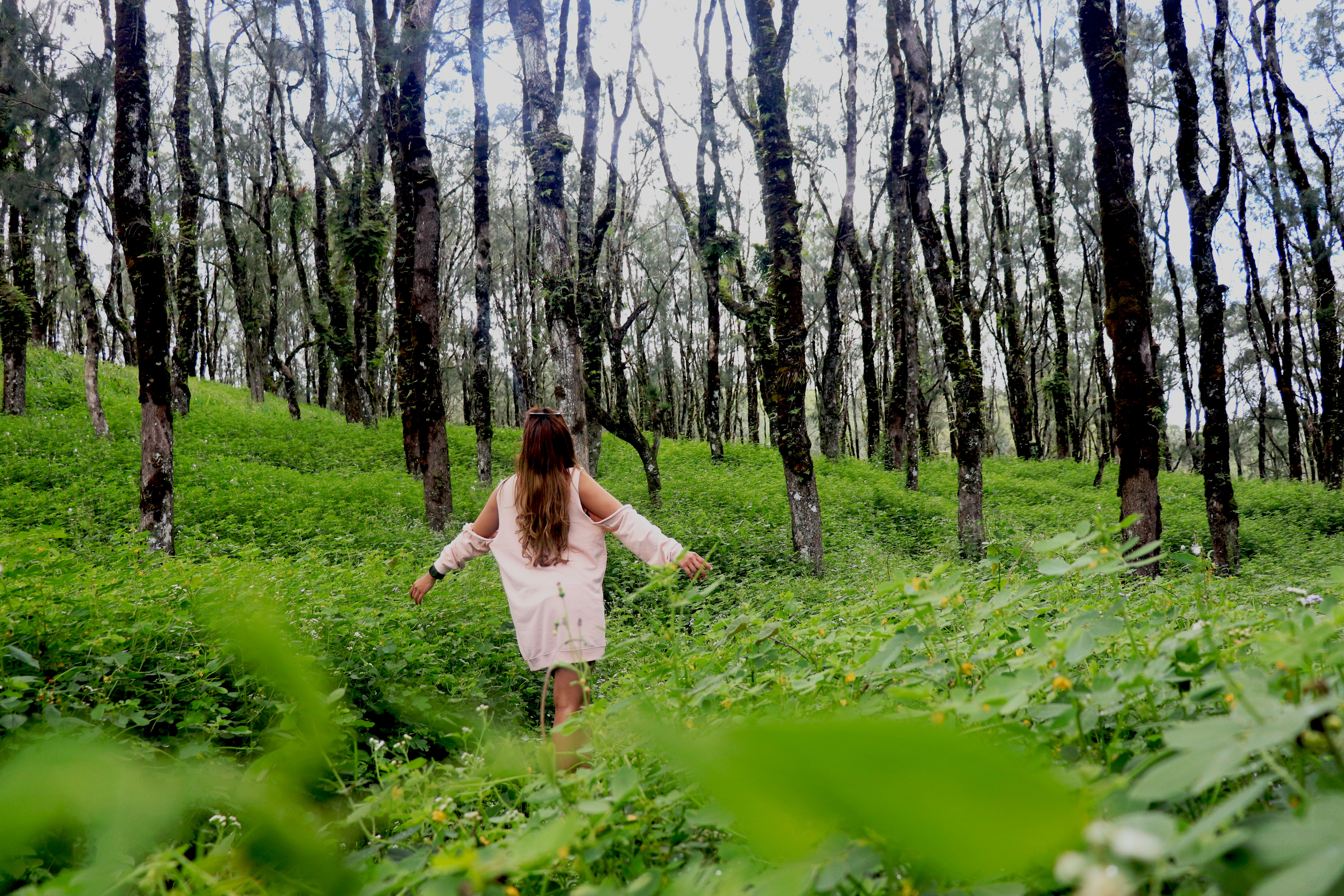 Pemandangan Gunung Mutis